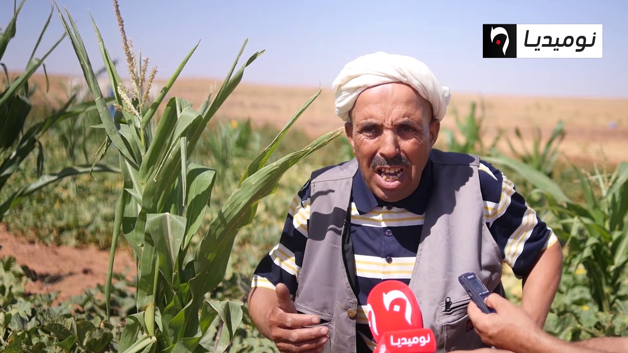 الأغواط: العشرات من فلاحي لفريشة دون كهرباء فلاحية