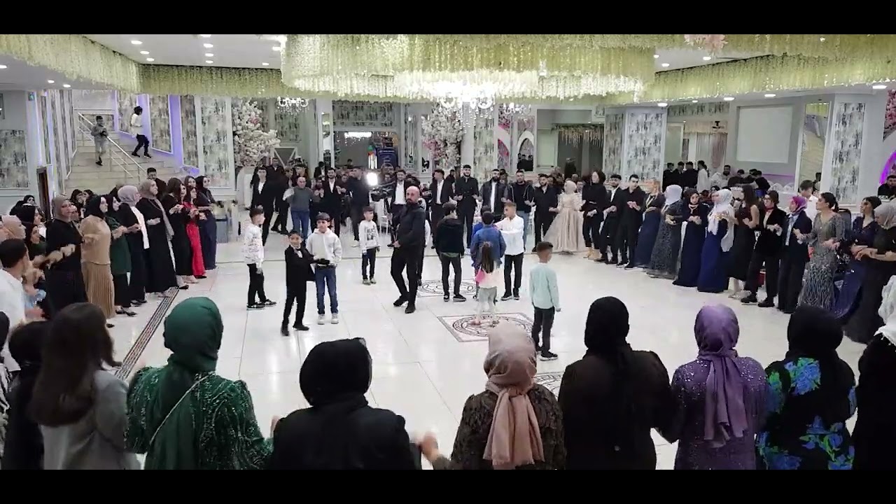 ilhan baran daweta şeğmus alptekin