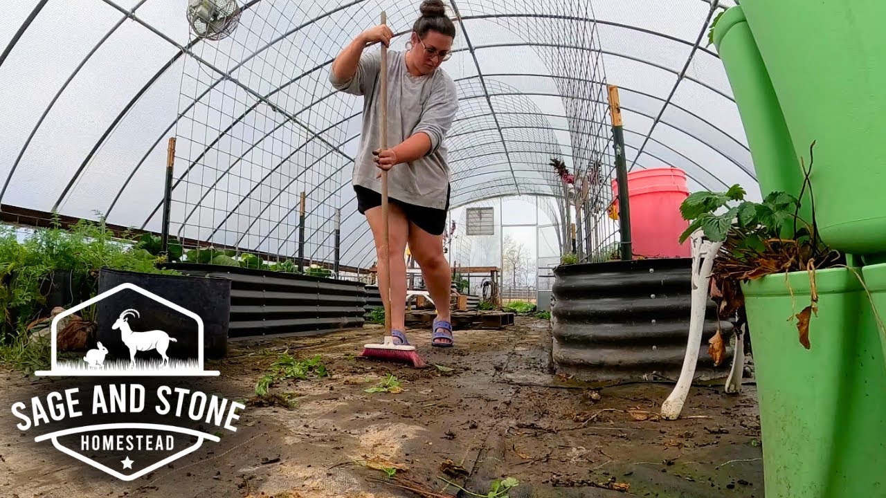 Storms, Swarms, New Bunnies & Tail Tattoos! | Homesteading VLOG