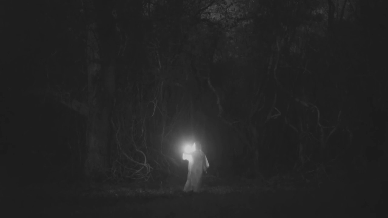 Tree - People ft. Shelf Nunny & Lena Kuhn - Music Video