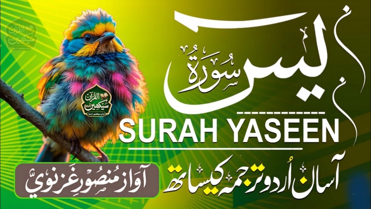 Surah Yaseen Tilawat with Urdu & Hindi Meaning | Spiritual Quran - سورة یس اردو ترجمه کی ساتهه