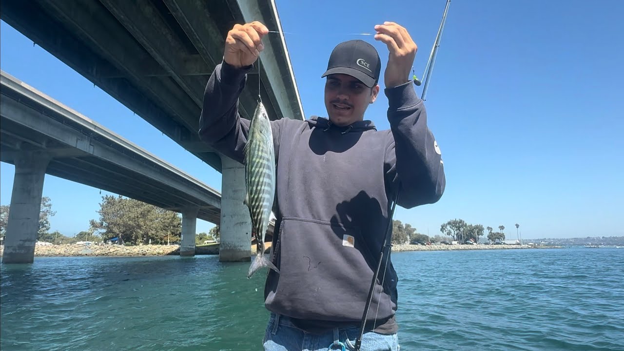 Мы не могли поверить, что этот бонито оказался в Мишн-Бэй! 🎣🔥