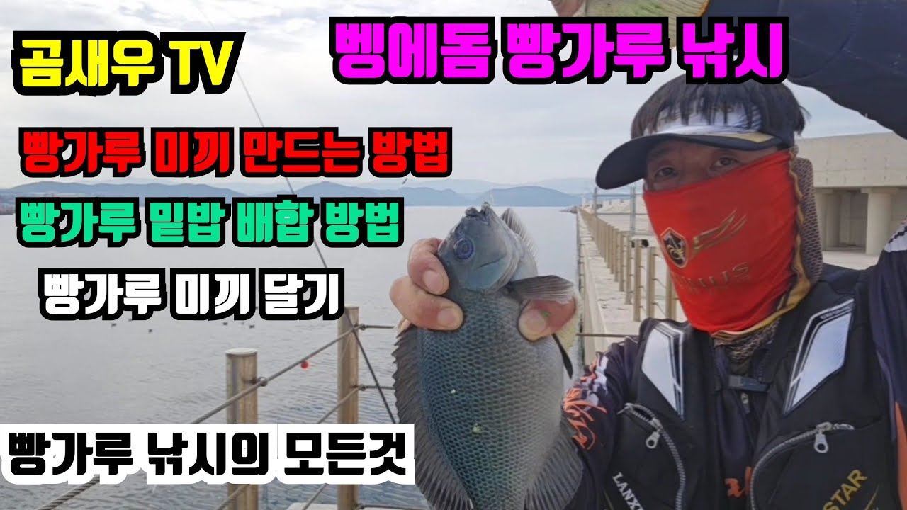빵가루 미끼.밑밥 최고의 조합  #빵가루미끼 #빵가루밑밥 #빵가루미끼달기 #벵에돔 #벵에돔낚시 #빵가루낚시 #벵에돔밑밥배합 #빵가루믺만들기 #곰새우tv 
