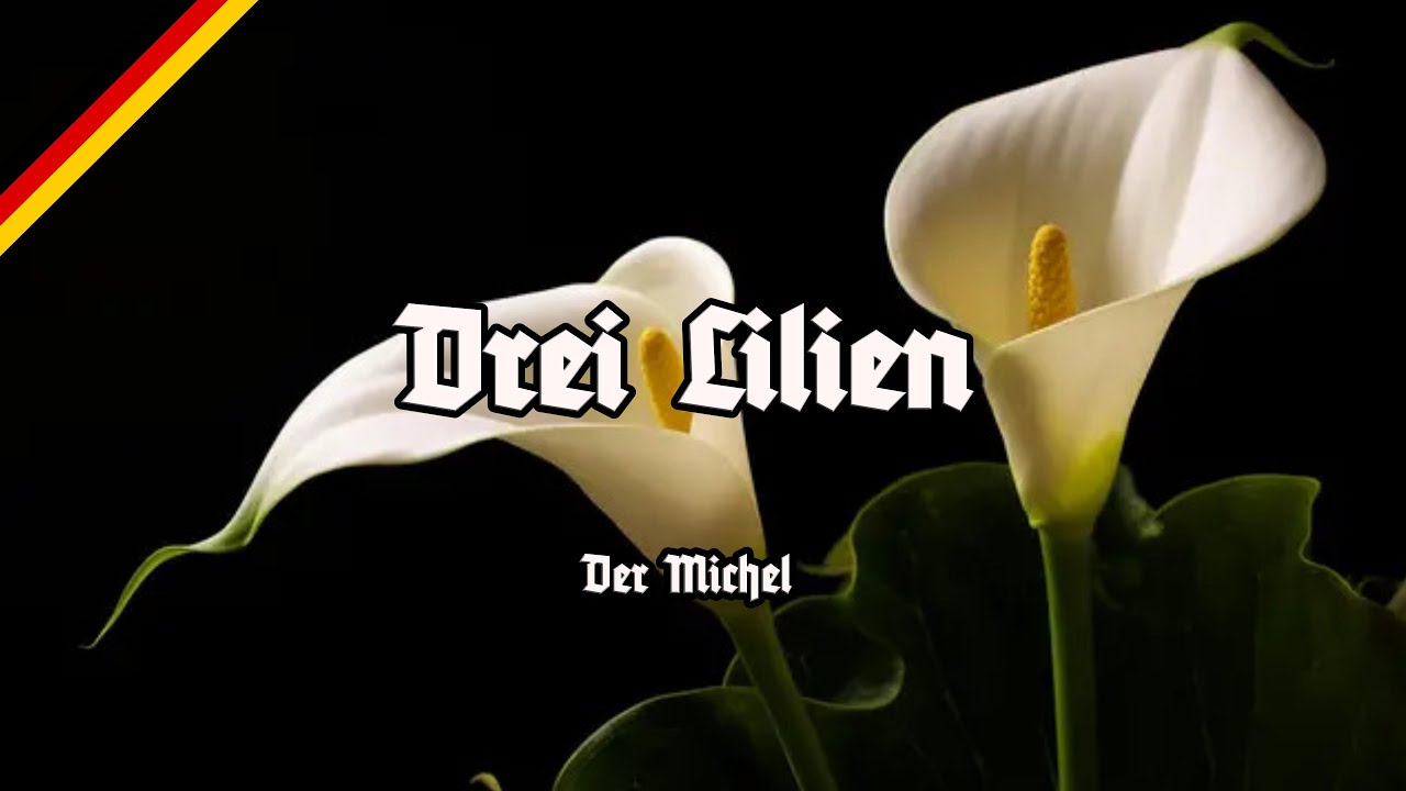 Drei Lilien - Der Michel - Der Klaviermusiker - All Stanzas