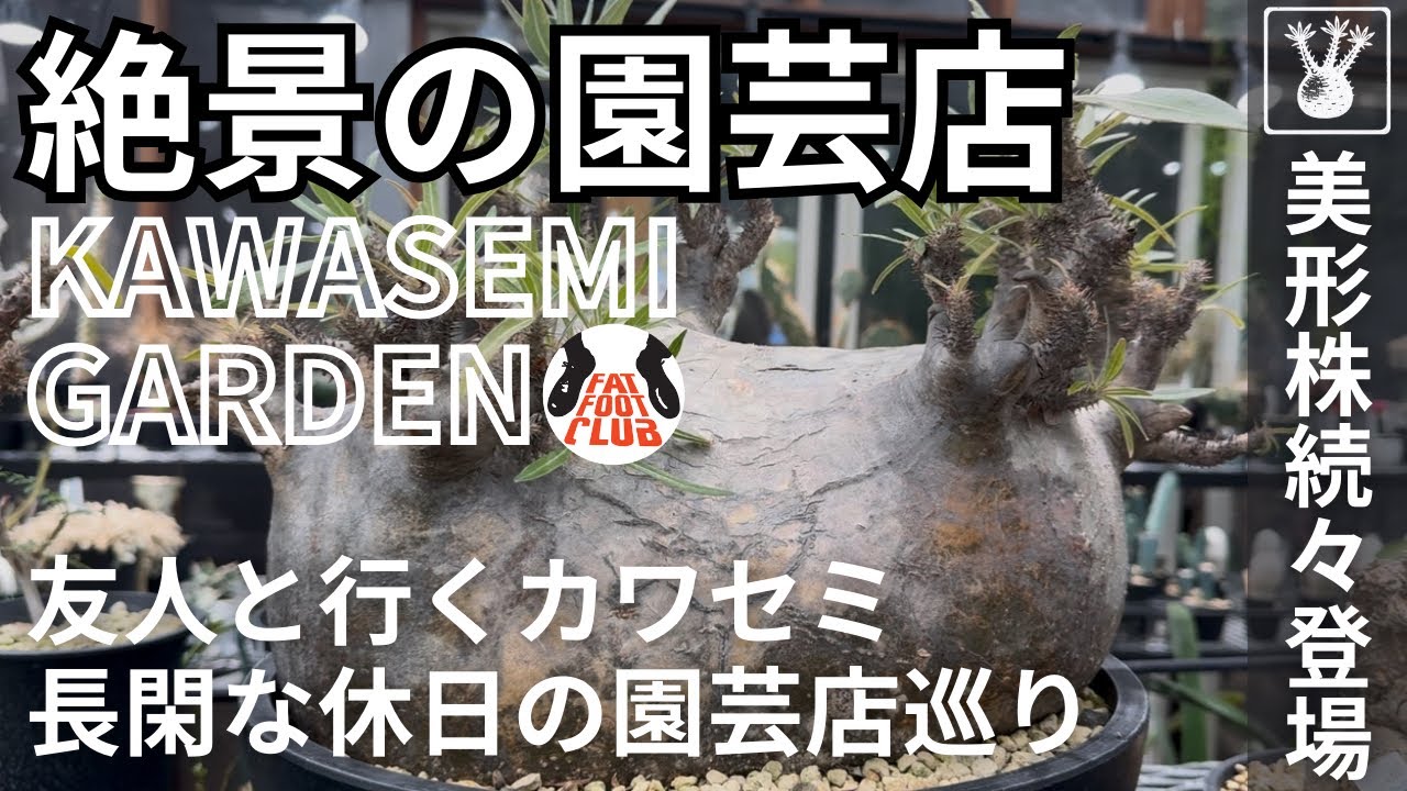 vol.41【ワクワクが止まらない！】再びお邪魔しましたカワセミガーデン！園芸好きには堪らないラインナップ！