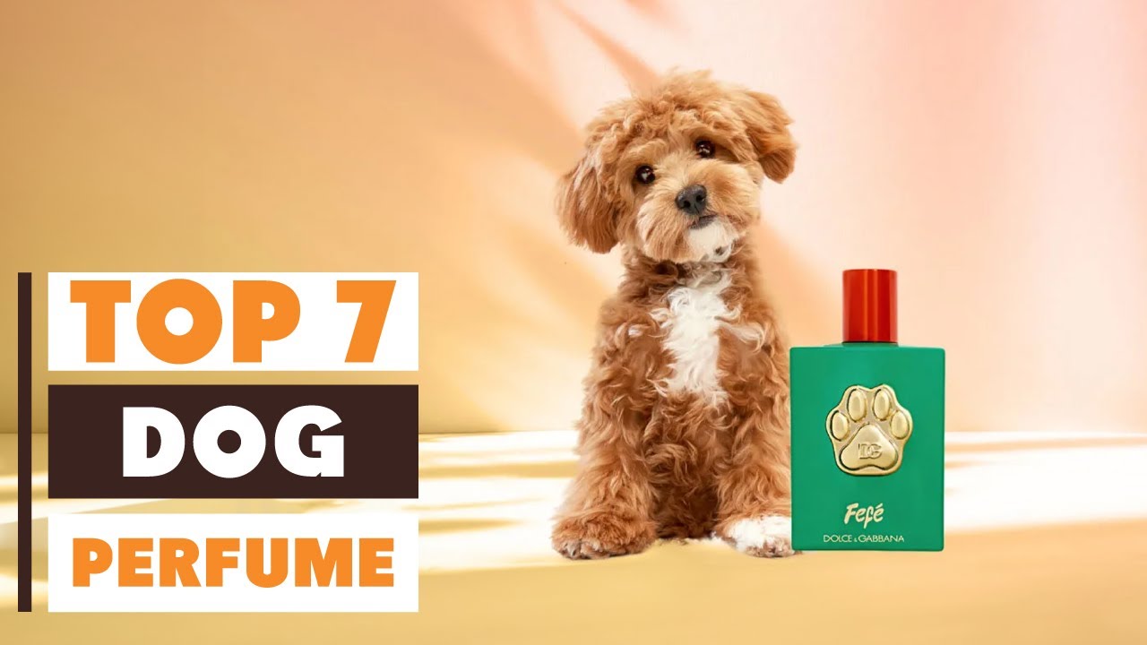 Top 7 Best Dog Perfume in 2025