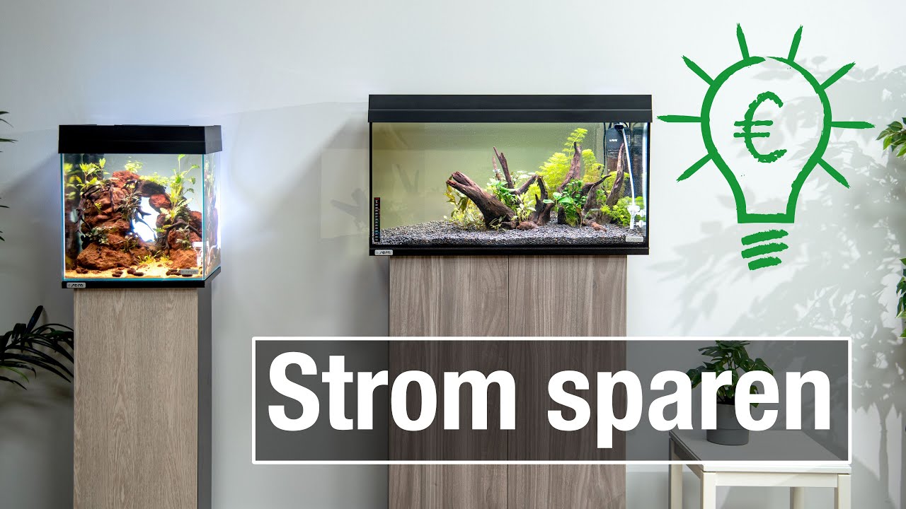 So viel Strom benötigt ein Aquarium | Verbrauch optimieren und berechnen!