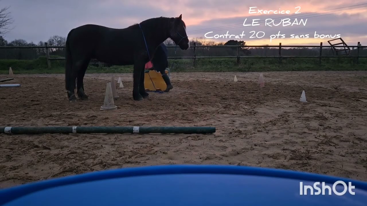 Equifeel virtuel caval go 2026 / Club Elite / Manche 1