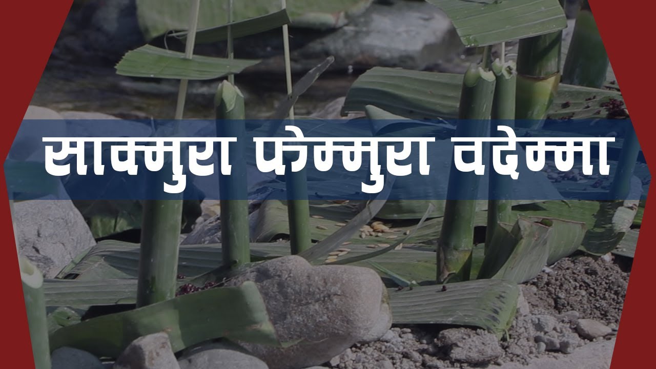याक्थुङ लिम्बुहरुको युमा साम्यो (युमाधर्म) अनुसार साक्मुरा फेम्मुरा वदेम्मा(गालिसराप बगाउने)अनुष्ठान
