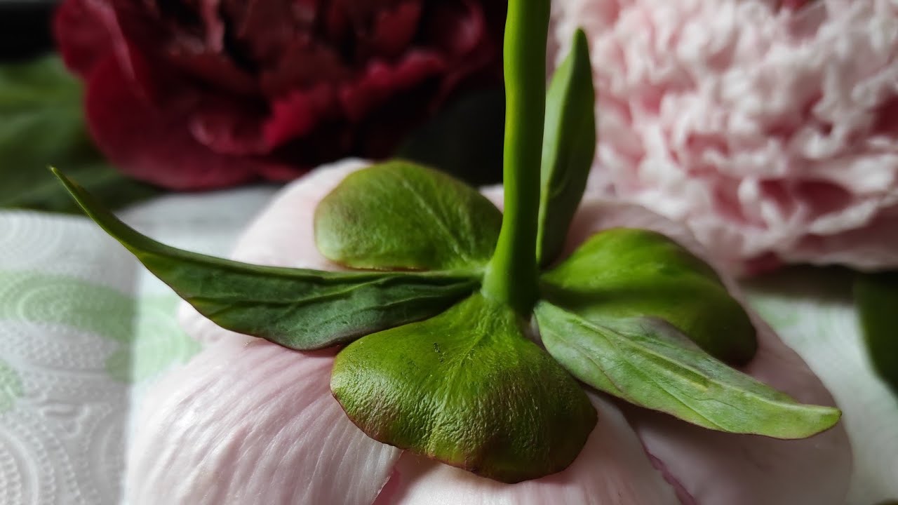 Пион из холодного фарфора, Чашелистики, прилистники тонировка /cold porcelain peony стебелёк 4 часть