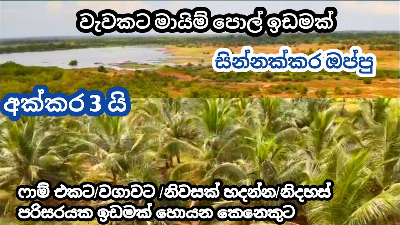 විශාල වැවකට මායිම් අක්කර තුනක ඉඩමක් property sale in maduran kuliya #Lassana Lanka 