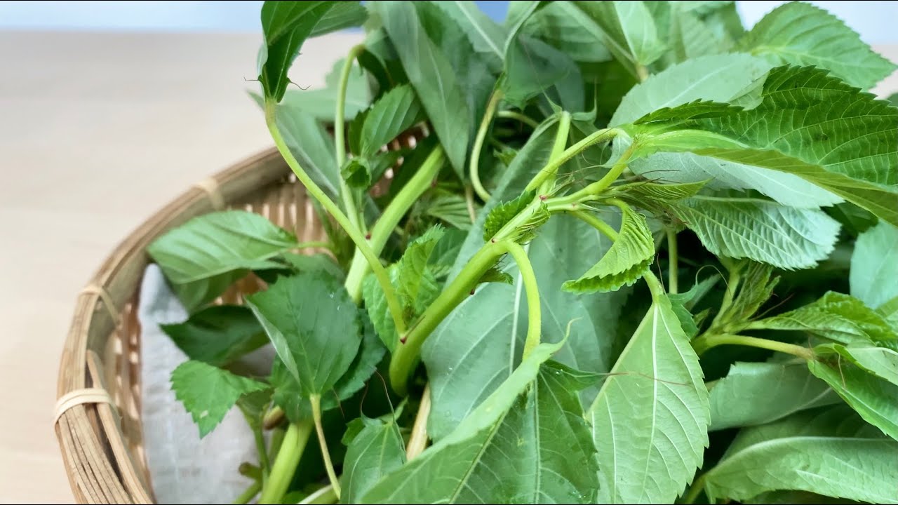 モロヘイヤ〈野菜の食べ方＆調理方法〉by食育マルシェおうち便