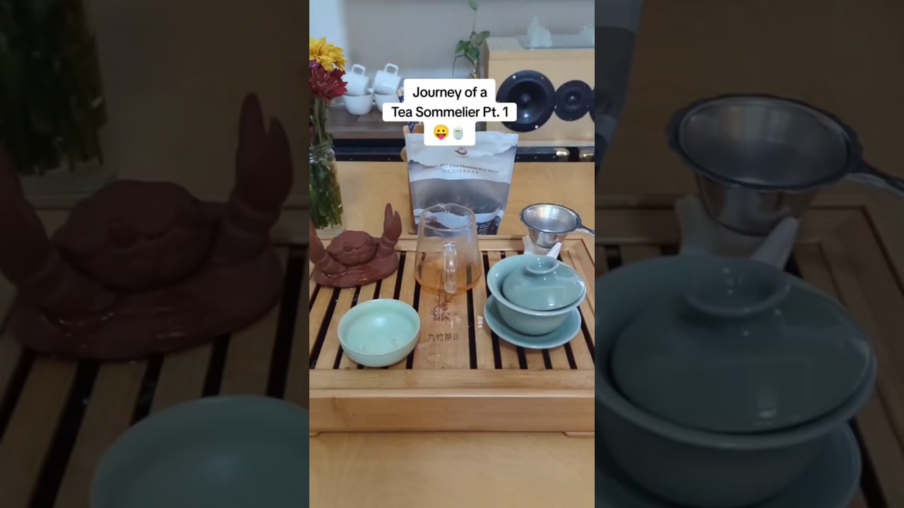 Journey of a Tea Sommelier Pt. 1 (from TikTok and the original was 3:57, so sry)