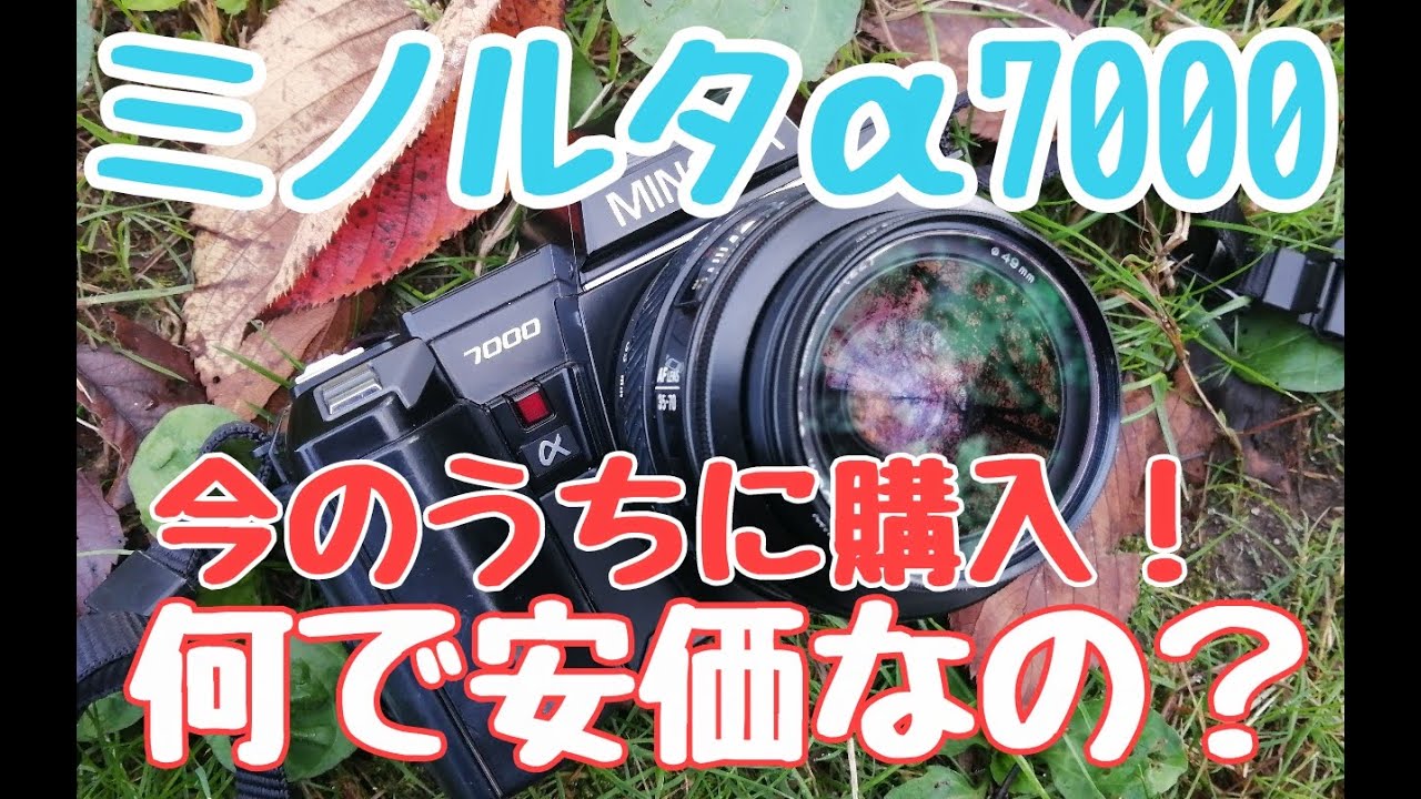 ミノルタα7000は頑丈で撮る側を満足させる比類無きカメラ！なのに安い！