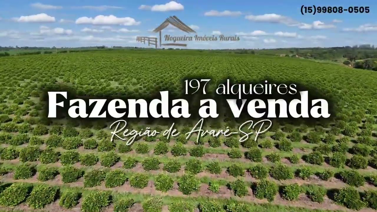 Fazenda com 197 alqueires na região de Avaré-SP