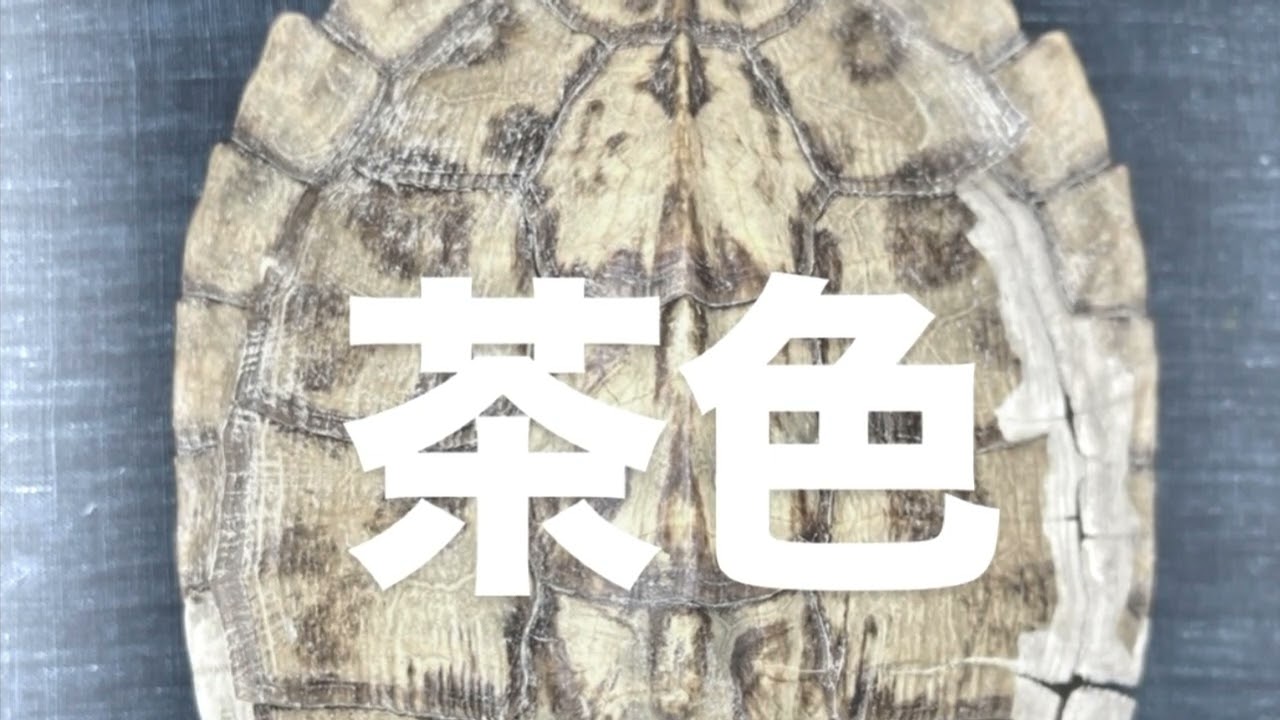 Josiah Ali - 鉄血のオルフェンズ #BILAH 