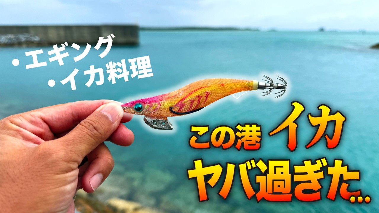 港でエギ投げたらイカが止まらない！？まさかの入れ食い祭り&rarr;家でイカ定食にしたら最高すぎた！【エギング】【爆釣】【秋イカ】【初心者OK】