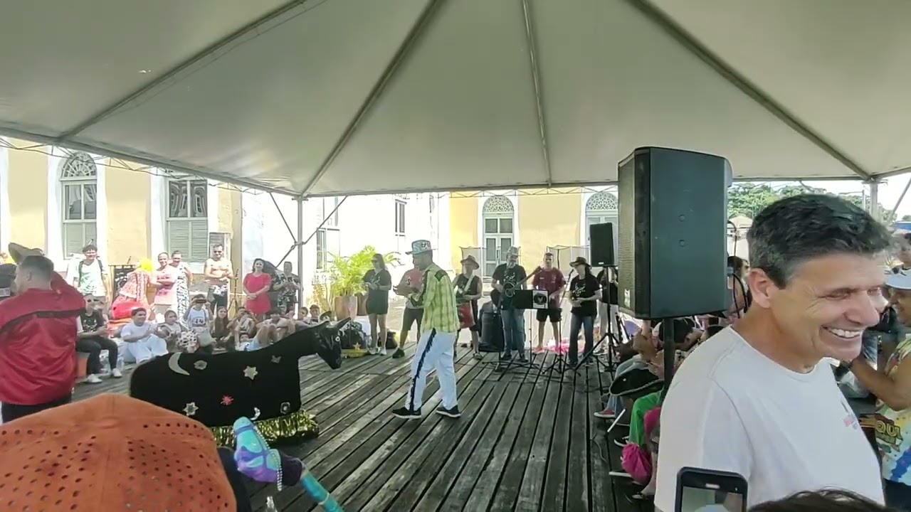 Boi de Mamão: Apresentação no Encontro de Bois de Mamão em São Francisco do Sul