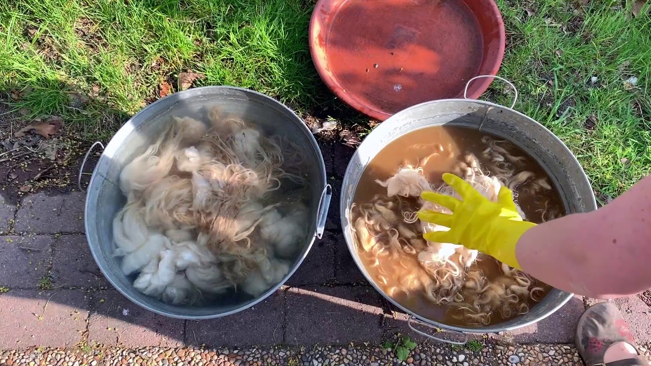 Fermented suint method
