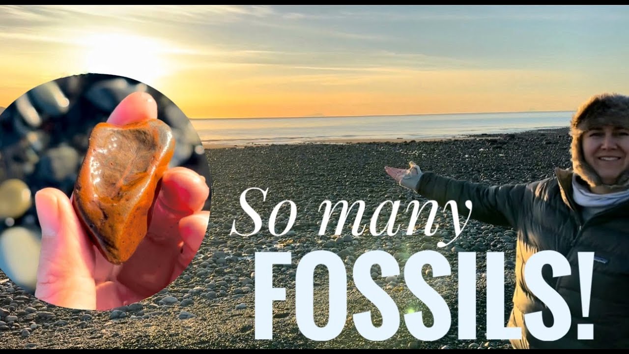 Rockhounding in ALASKA | Rock Hound with Me | Beginner Rock Hounding | Agates and Fossils