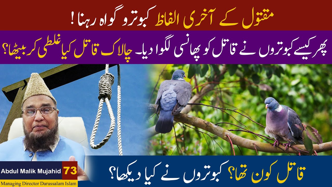 Maqtool Ke Akhari Alfaz Kabotar Gawah Rehna | Abdul Malik Mujahid