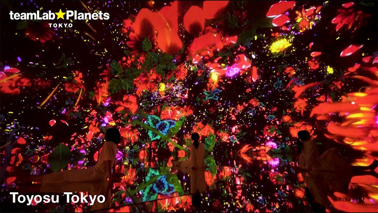 A glimpse into the &lsquo;body immersive&rsquo; museum teamLab Planets in Toyosu, Tokyo