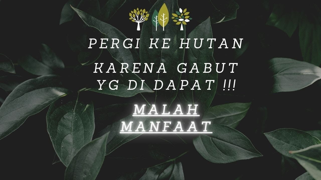 PERGI KE HUTAN !!! ADA APA DI HUTAN !!!