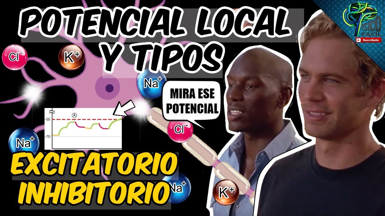 POTENCIAL LOCAL POSTSIN&Aacute;PTICO Y TIPOS F&Aacute;CILMENTE EXPLICADO PASO A PASO 😀😀INHIBITORIO Y EXCITATORIO