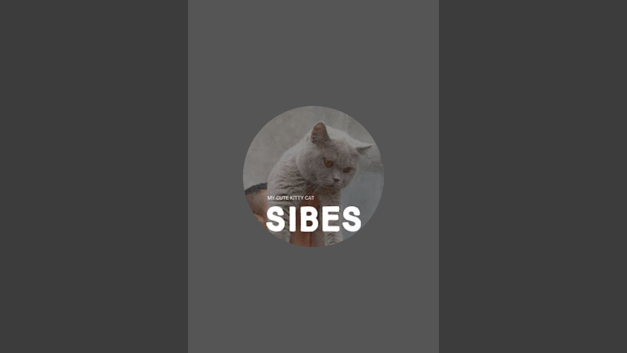 Sibes The Cat sedang live sekarang!