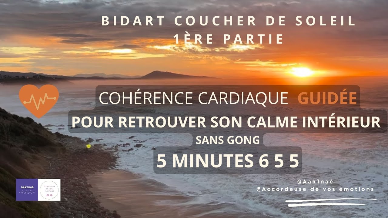 1.5. Cohérence cardiaque guidée pour retrouver son calme intérieur - 5min 6 5 5  - sans gong