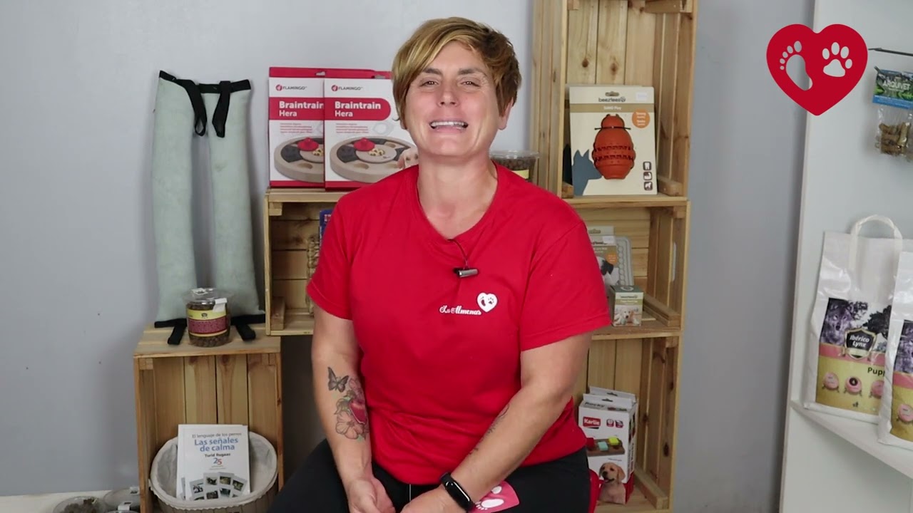 &iquest;D&oacute;nde comprar un perro Westy? &iexcl;Consejos vitales! | Centro Canino Las Almenas