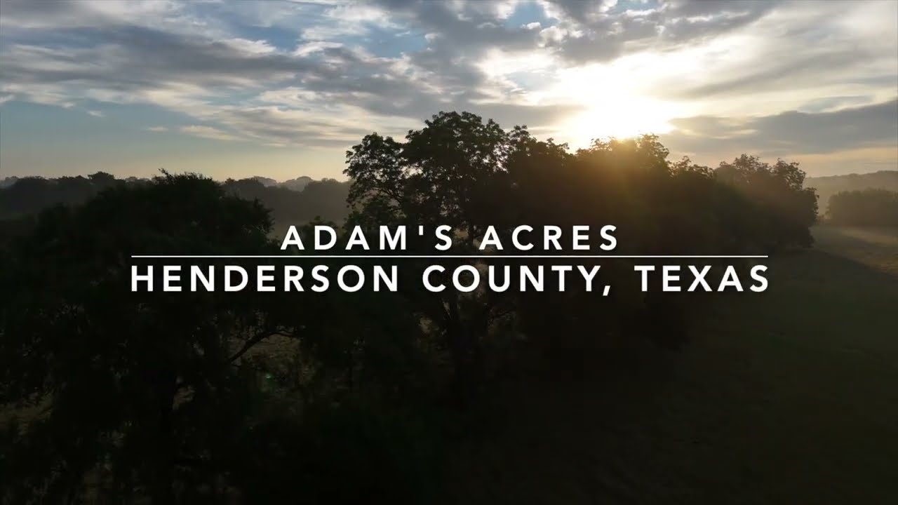 419 acre Texas Ranch for Sale in Henderson County near Athens