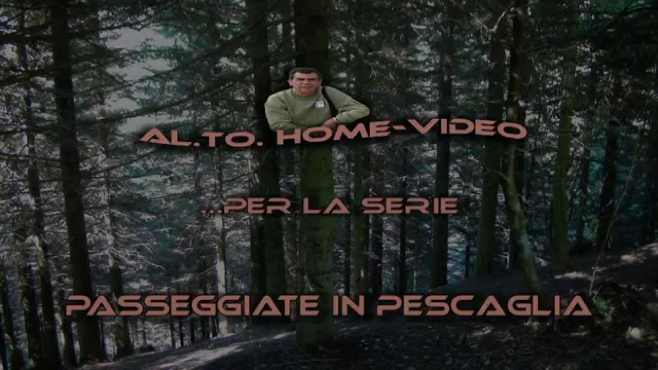 PASSEGGIATE IN PESCAGLIA - La Marginetta, Fornastro e Piazzanello (Video con Commento Audio)
