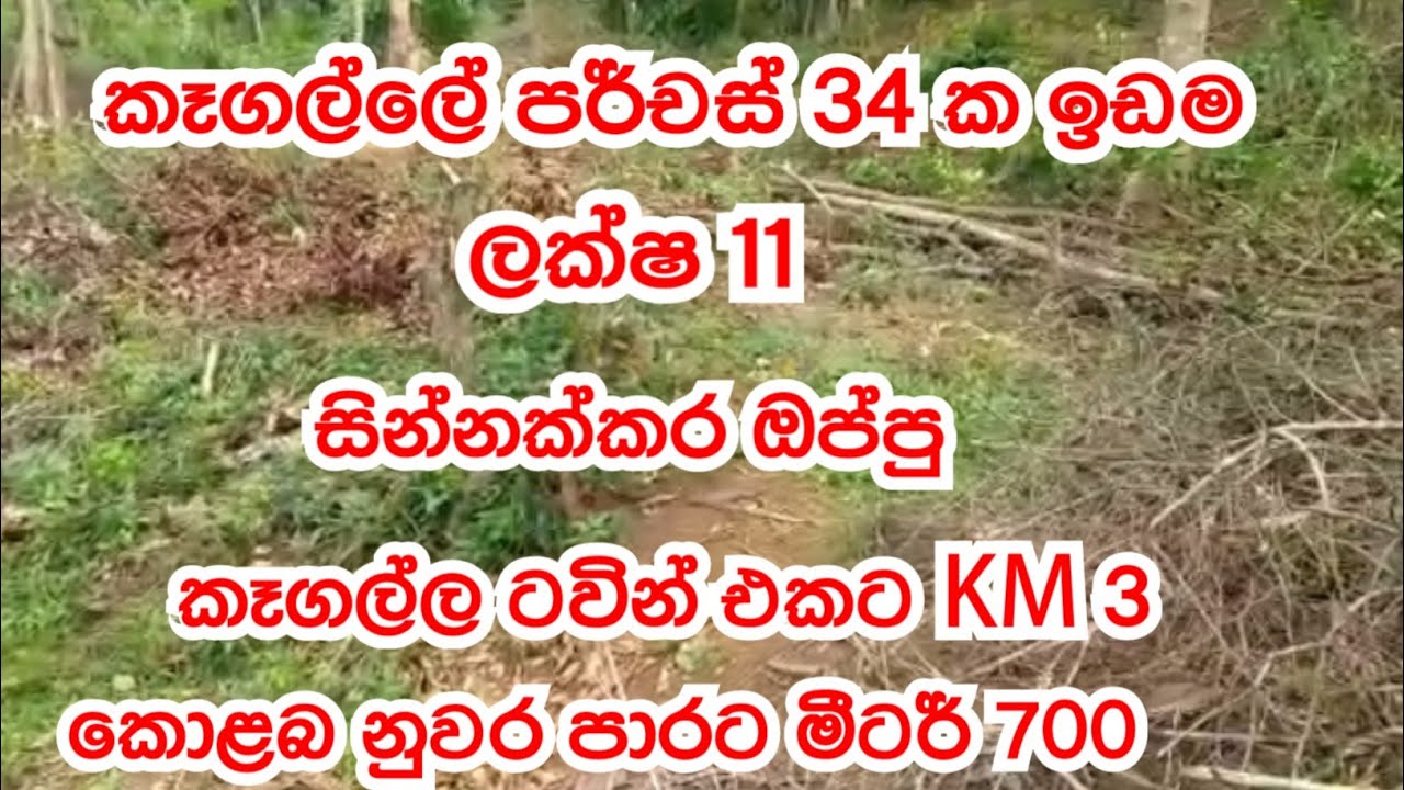 land for sale in kegalle #24 / property for sale in kegalle / land for sale in sri lanka