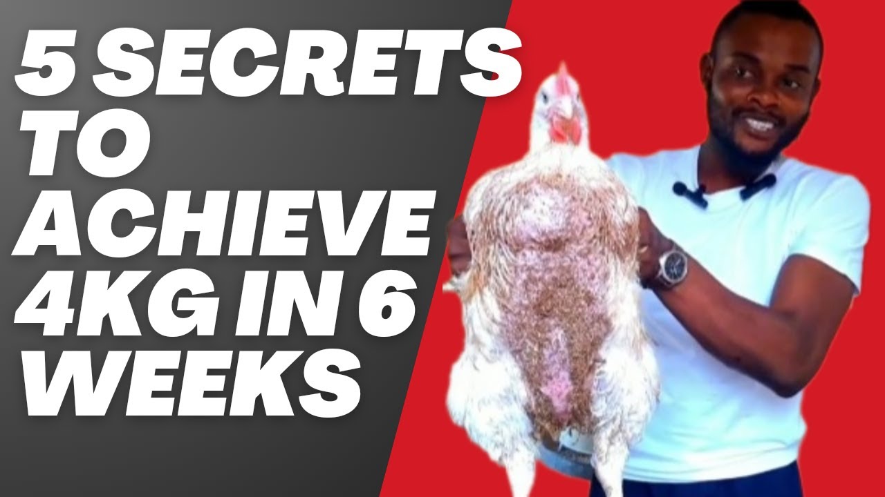 5 секретов, как похудеть на 4 кг за 6 недель.