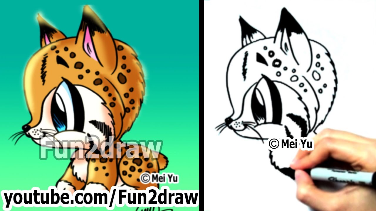 How to Draw Animals - How to Draw a Bob Cat - Cute Art - Easy Drawings - Fun2draw Online Art Class