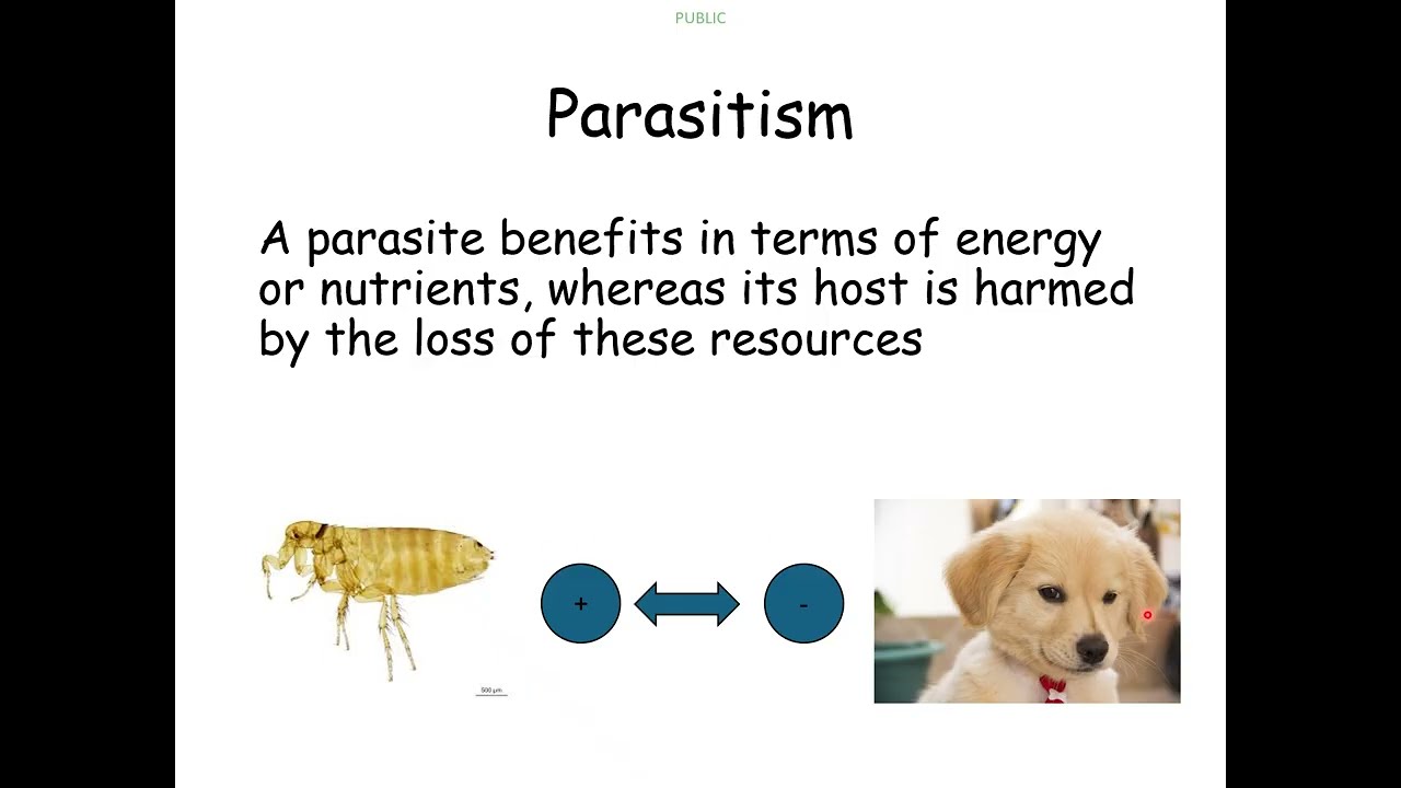 5 - Symbiosis and parasitism