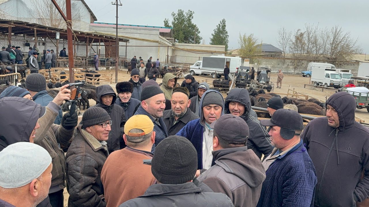 2 QISM AKALAR QUQON QUY BOZORI SESHANBA  10 03 2026 
