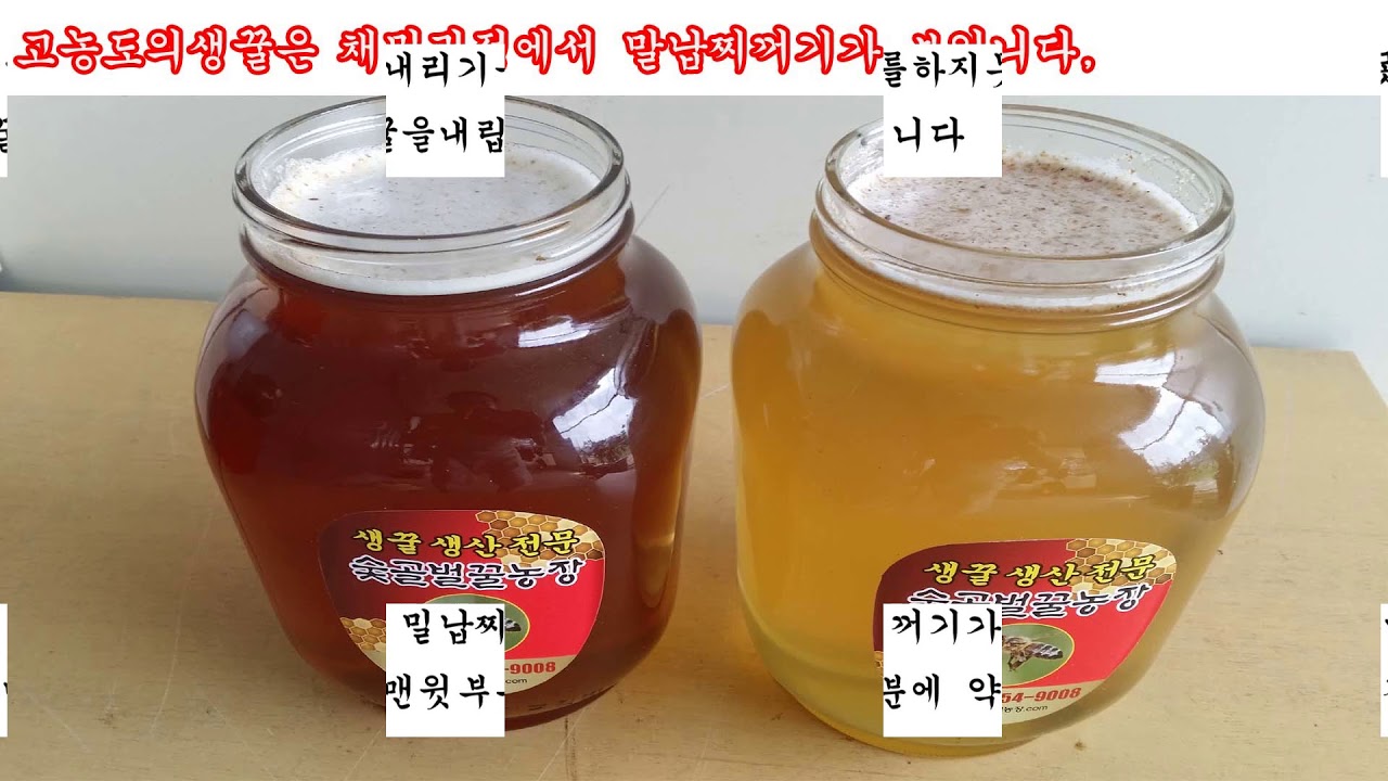 생꿀 를 소개 합니다