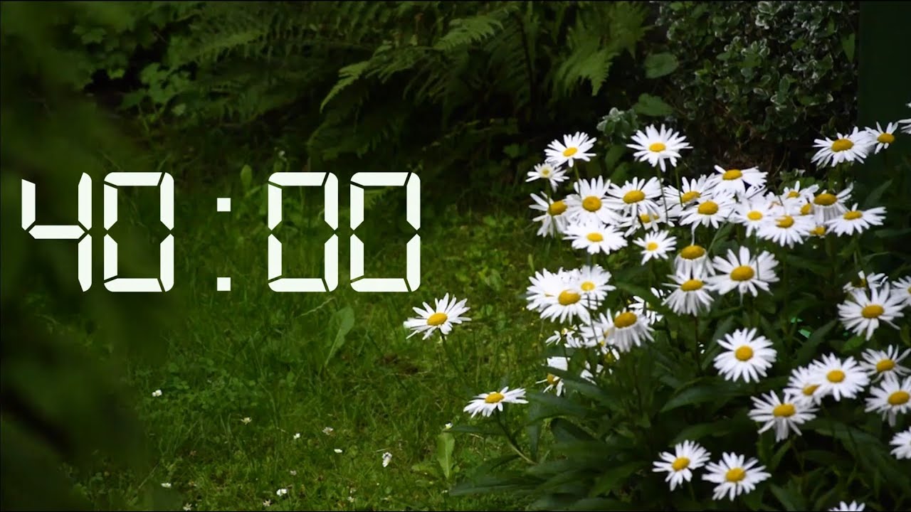 40 Minute Timer | Relaxing Rain Sounds