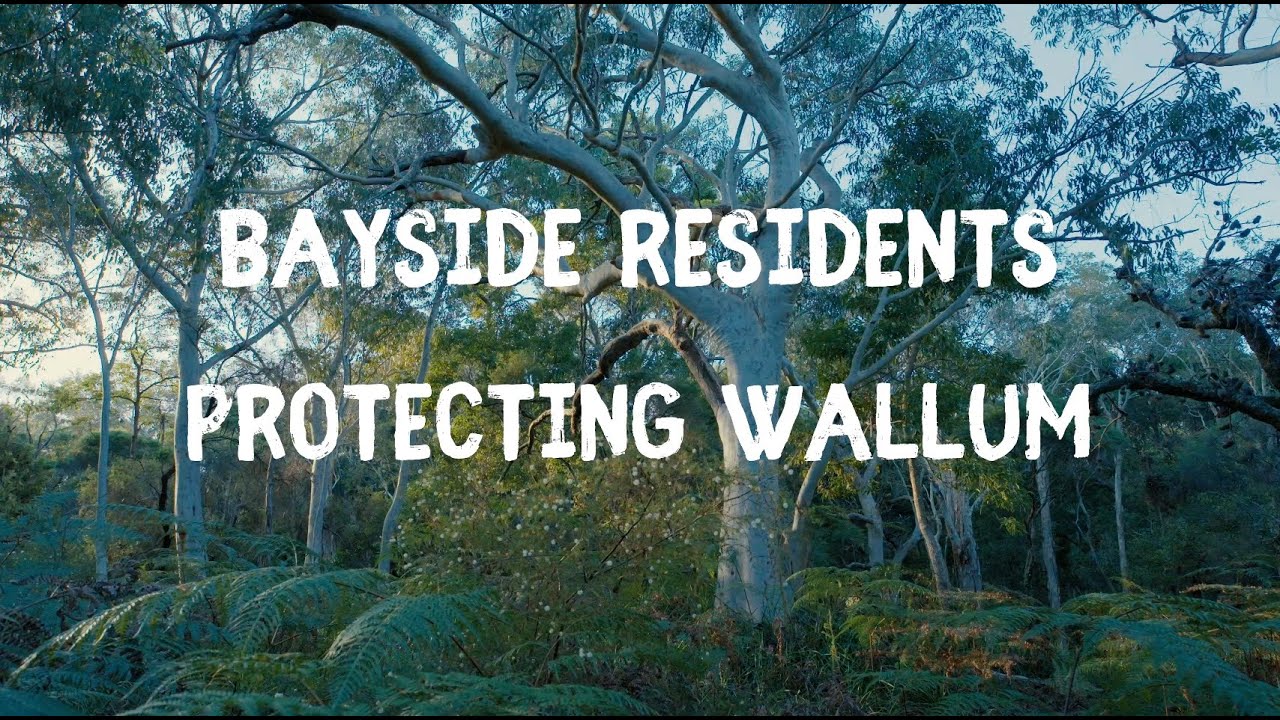 Bayside Residents Protecting Wallum