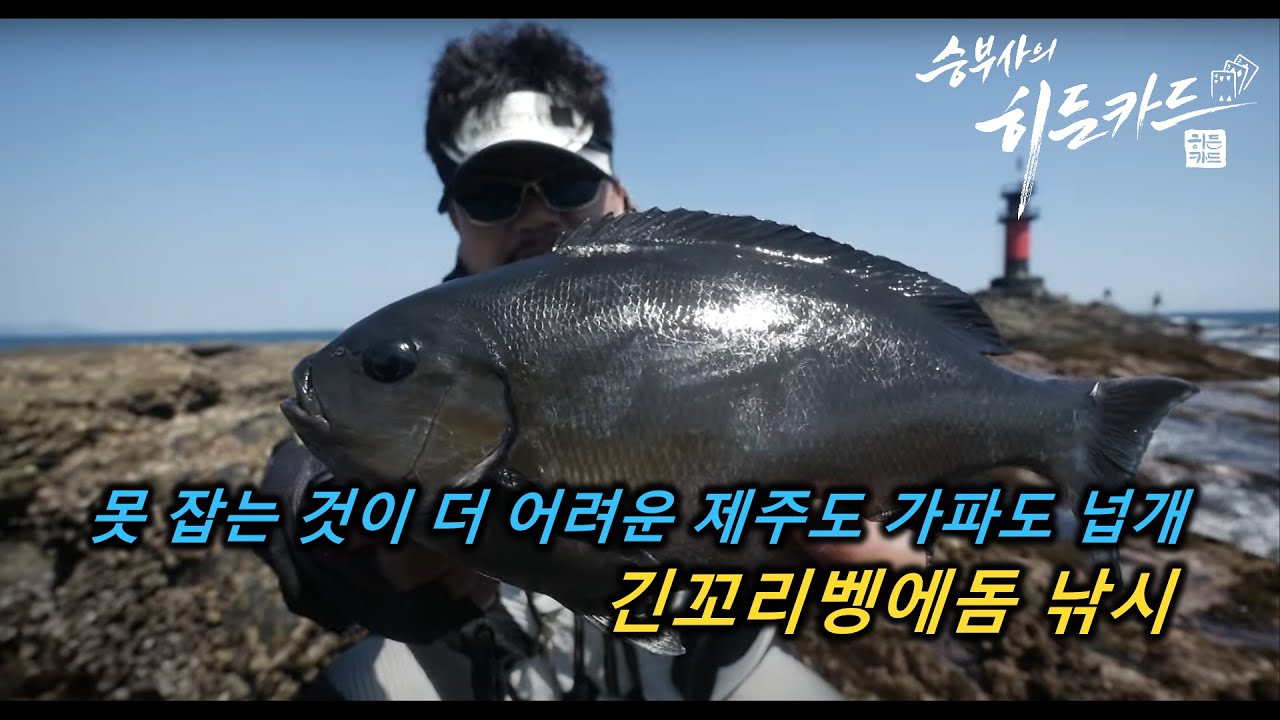 못 잡는 것이 더 어려운 제주도 가파도 긴꼬리벵에돔 낚시(feat.차구레)