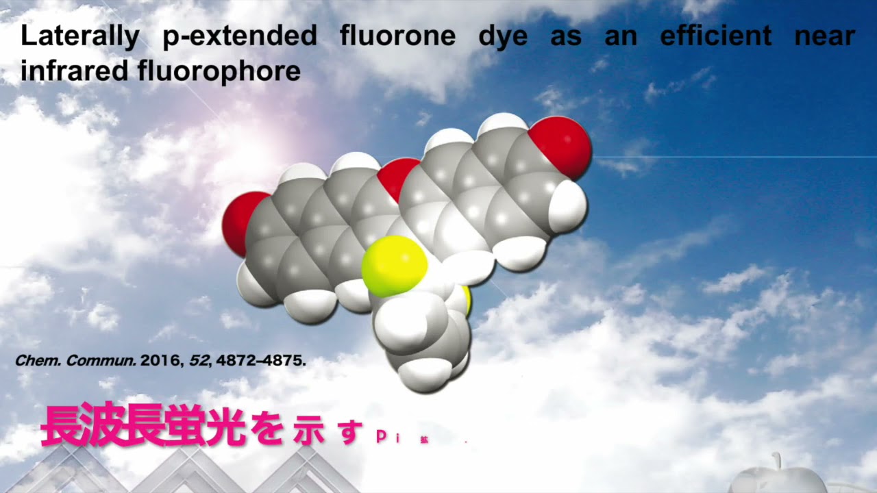 機能有機化学研究室 （山田・荒谷グループ）