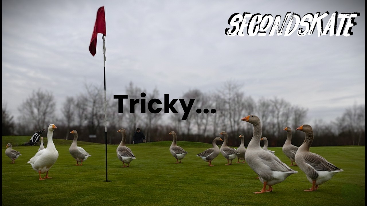 SecondSkate | Golf...kinda...