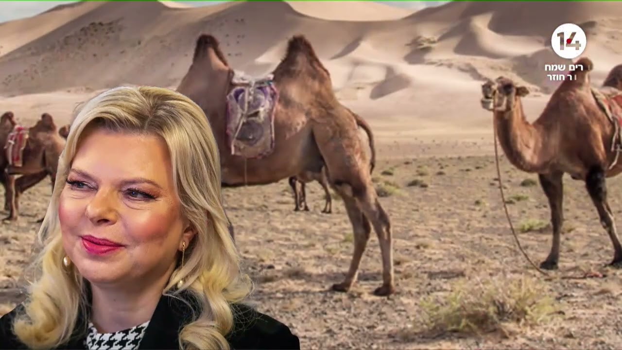 משדר פורים מיוחד | השעשועון 'שחק אותה בן כספית'