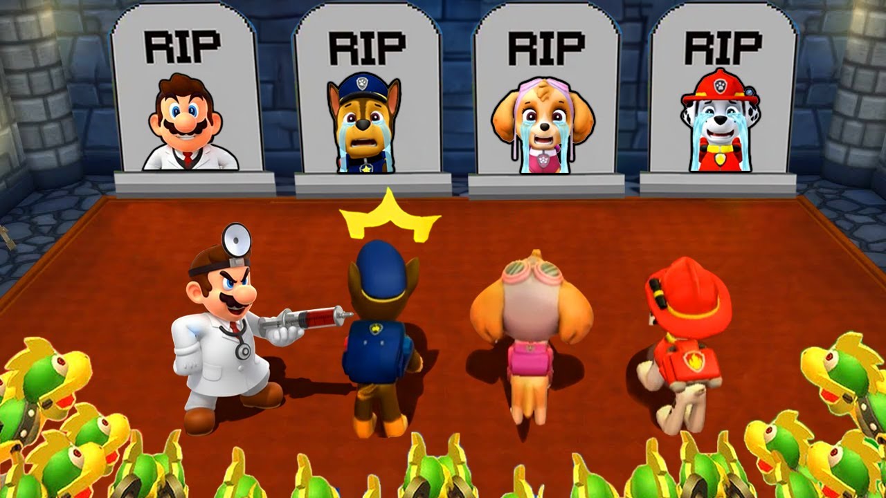 Mario Party 9 Ultimate Minigames Showdown - Doctor Mario Vs Paw Patrol Team (Master Difficulty)