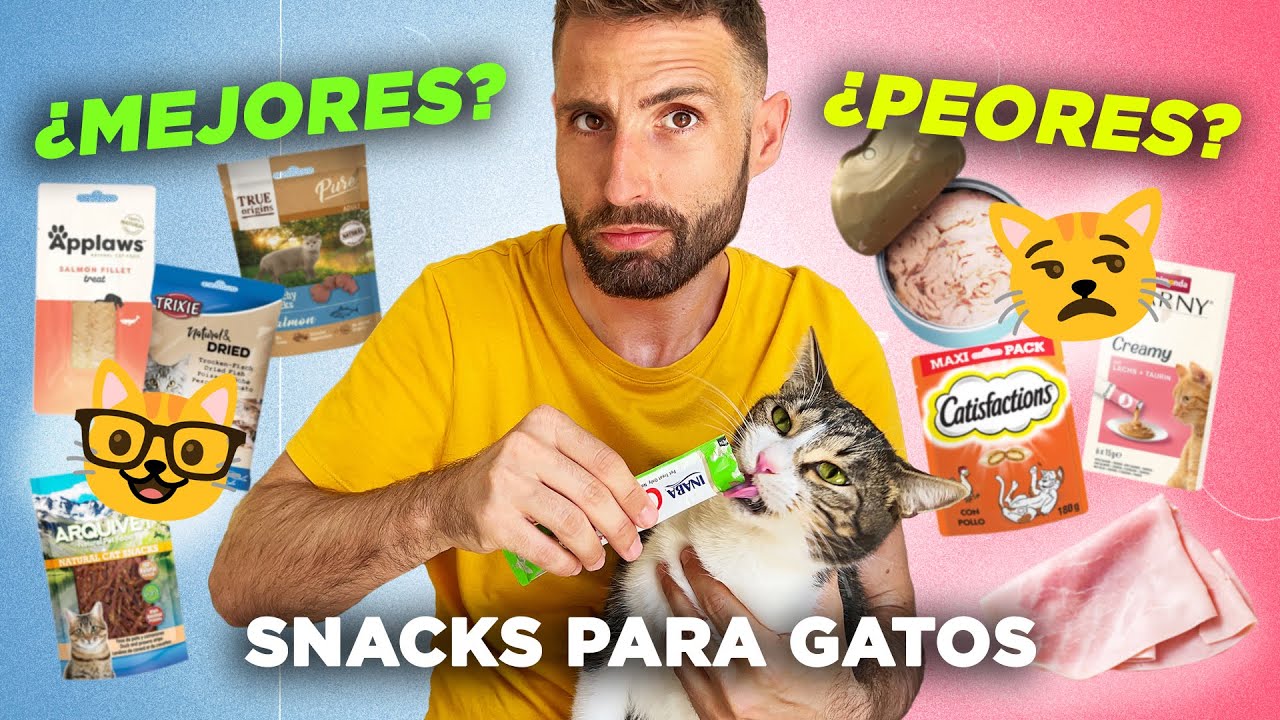 ¿Qué PREMIO debes darle a TU GATO? 🐱🍖 | MEJORES Y PEORES SNACKS PARA GATOS | ¿Churu sí o no?