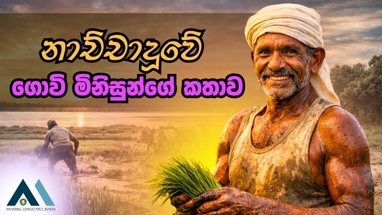නාච්චාදූවේ ගොවි මිනිසුන්ගේ කතාව | The Story of Farmers in Nachchaduwa