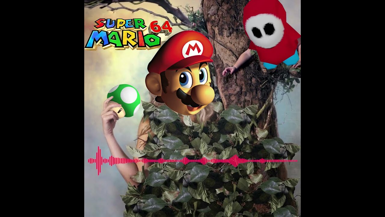 Flips Don't Lie (Hips Don't Lie | SM64 Soundfont)