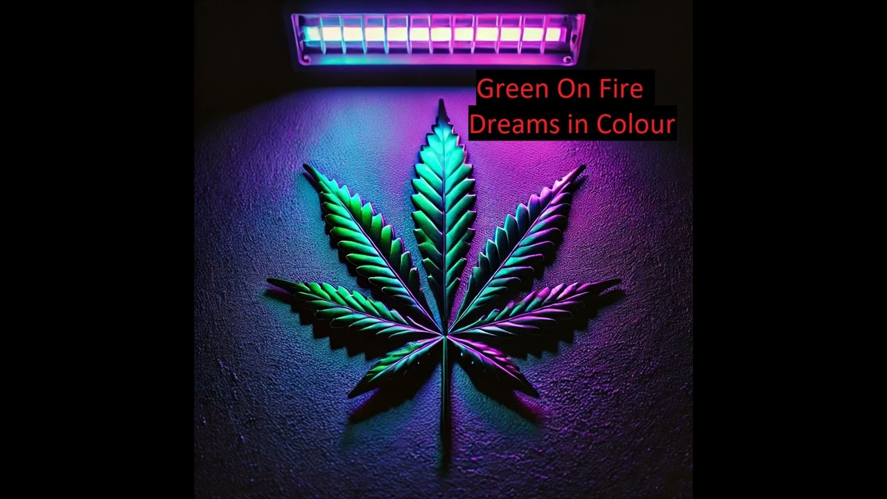 Dreams in Colour